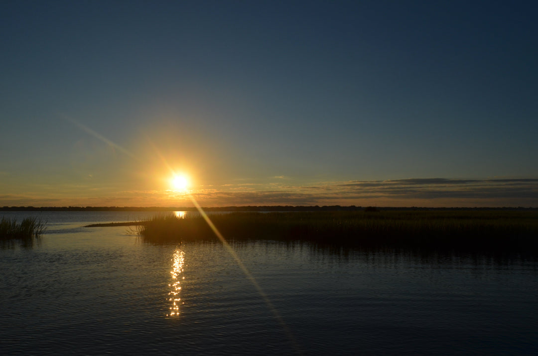 Fishing the Intracoastal Waterway in Northeast Florida What You Need to Know
